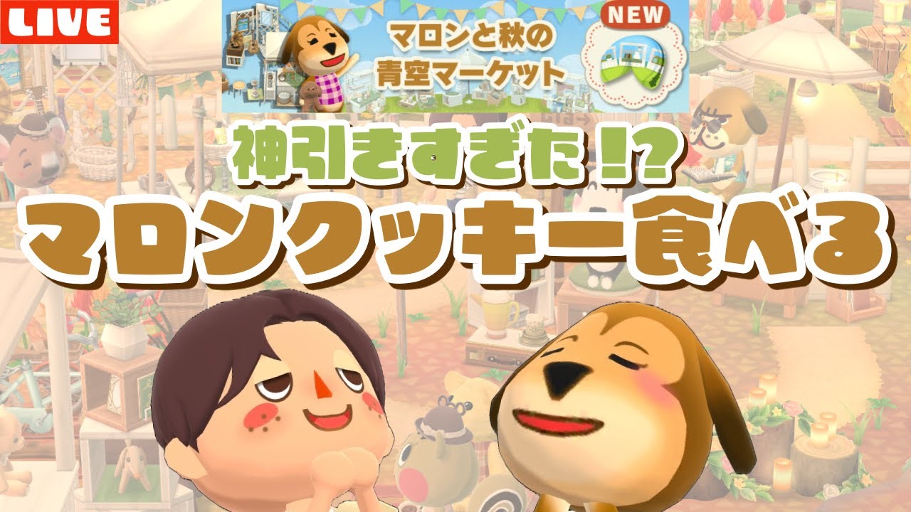 【ポケ森】神引き！マロンの新フォーチュンクッキー食べてキャンプ場レイアウトLIVE！【どうぶつの森ポケットキャンプ】