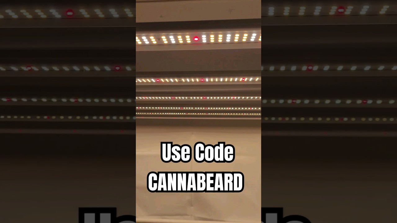 #grow #indoors w #marshydro #fc8000 smart #leds use my code CANNABEARD for a #Discount #gardening