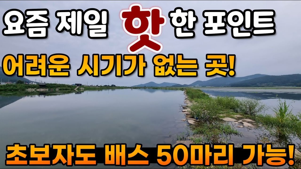 [장흥]요즘 제일 핫한 포인트! 초보자도 배스 마릿수 가능한 곳!