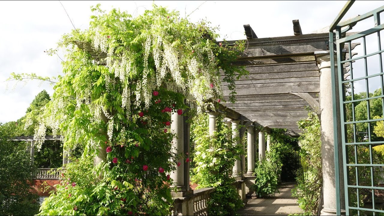 Hampstead Heath - West Heath & SECRET PERGOLA & GARDEN....