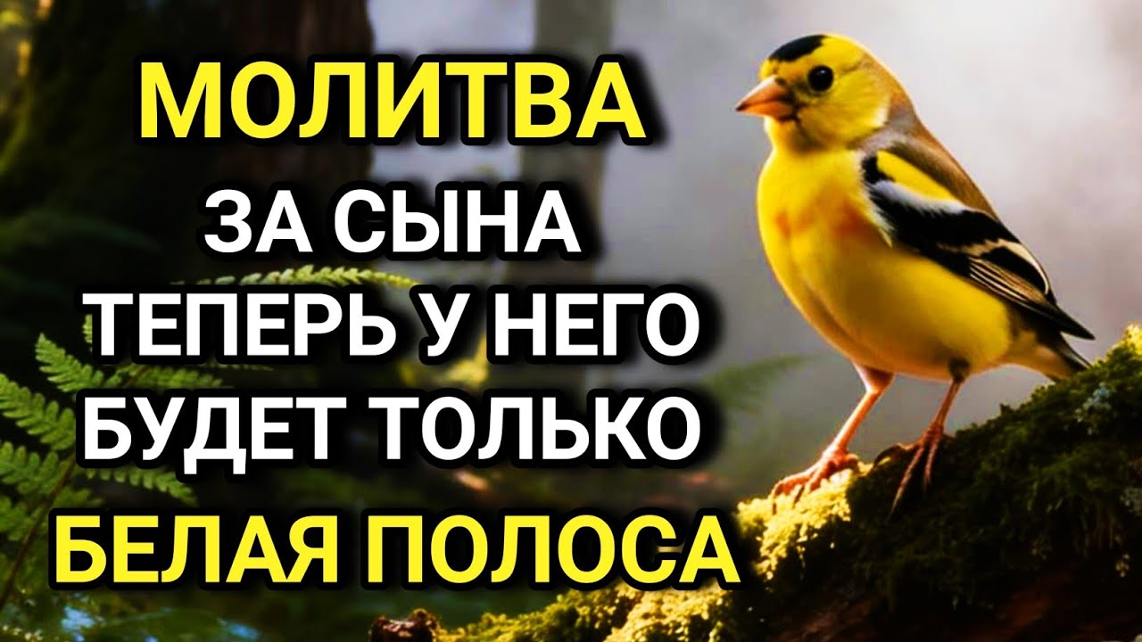 💞 Каждая Мать должна послушать эту молитвуОчень сильная молитва за СЫНА от БЕДЫ, ПОРЧИ И Неудачи 🤲✨💯