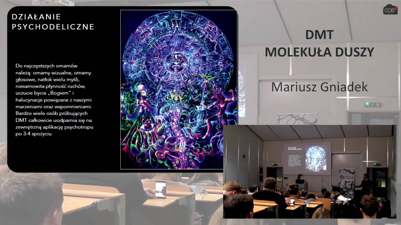 Mariusz Gniadek - DMT. Molekuła Duszy