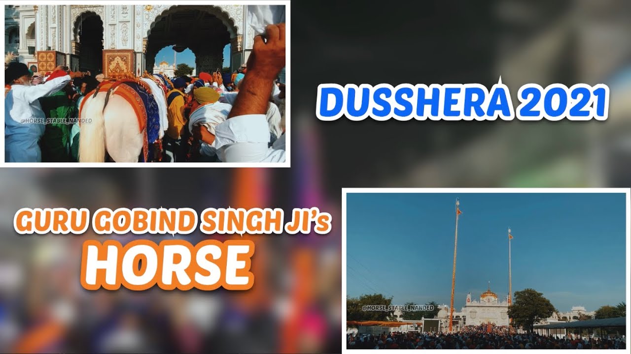 DUSSHERA 2021 || GURU GOBIND SINGH JI’s HORSE || HAZUR SAHIB || HORSE STABLE NANDED