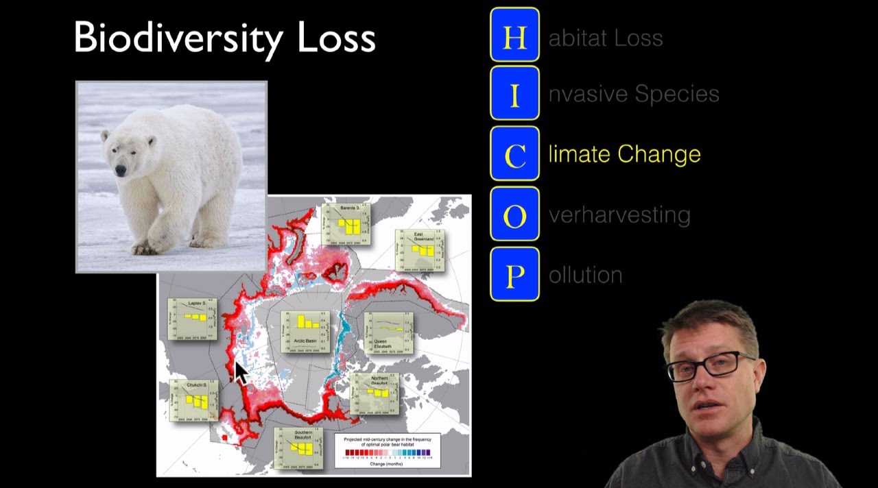 Loss of Biodiversity