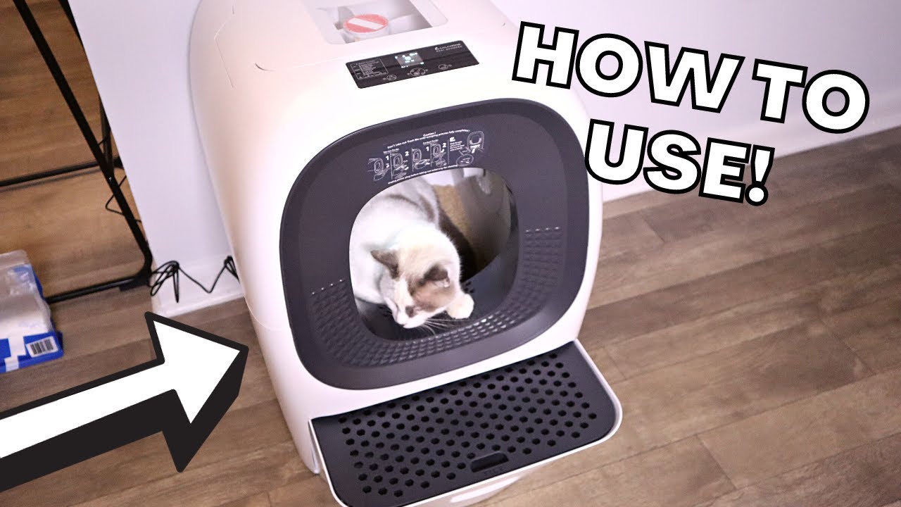 Reviewing the LALAHOME RealScooper Smart Self-Refill Litter Box (Setup + Demo After 1 Week!)