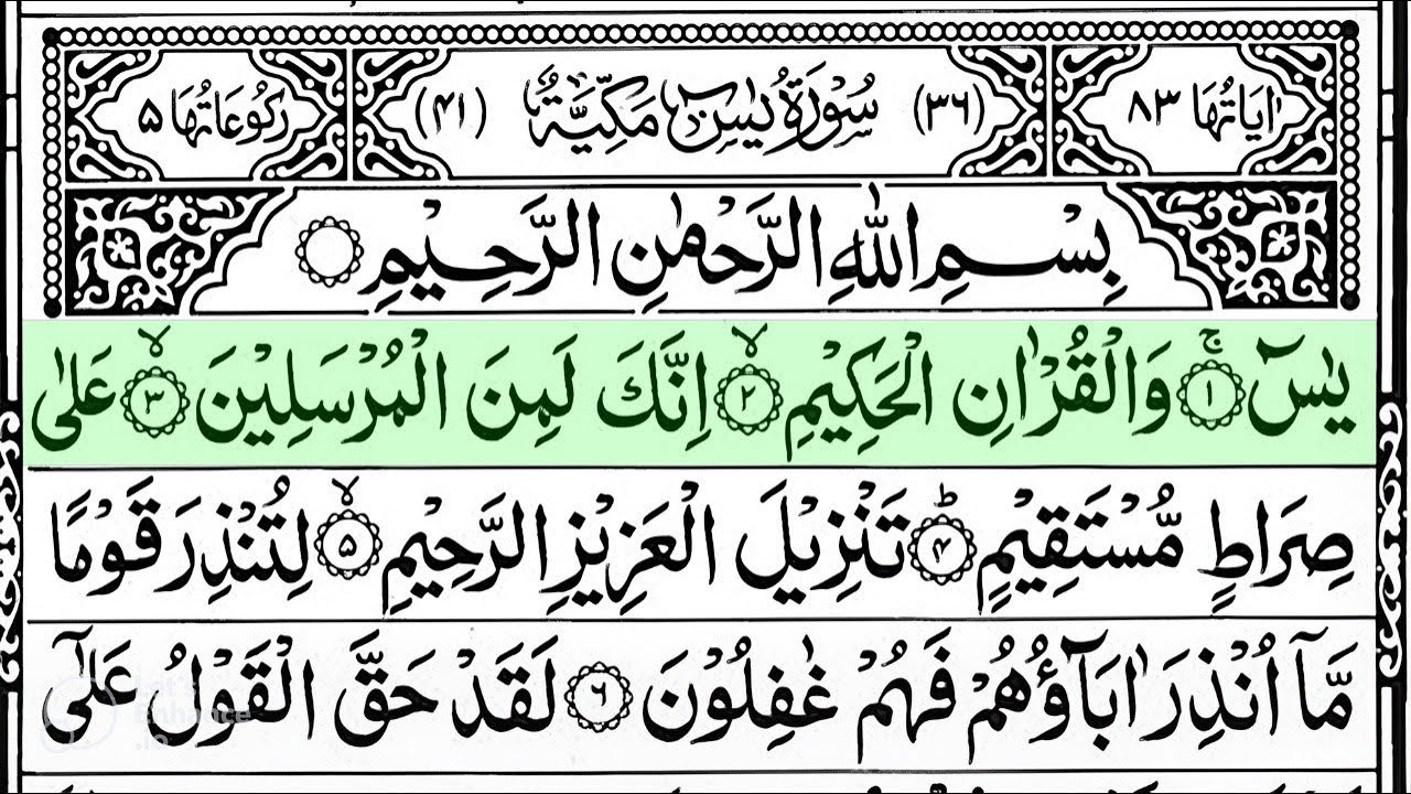 Surah Yaseen Surah Ar Rahman | Best Quran Recitation | Surah Yasin Tilawat | Episode_002