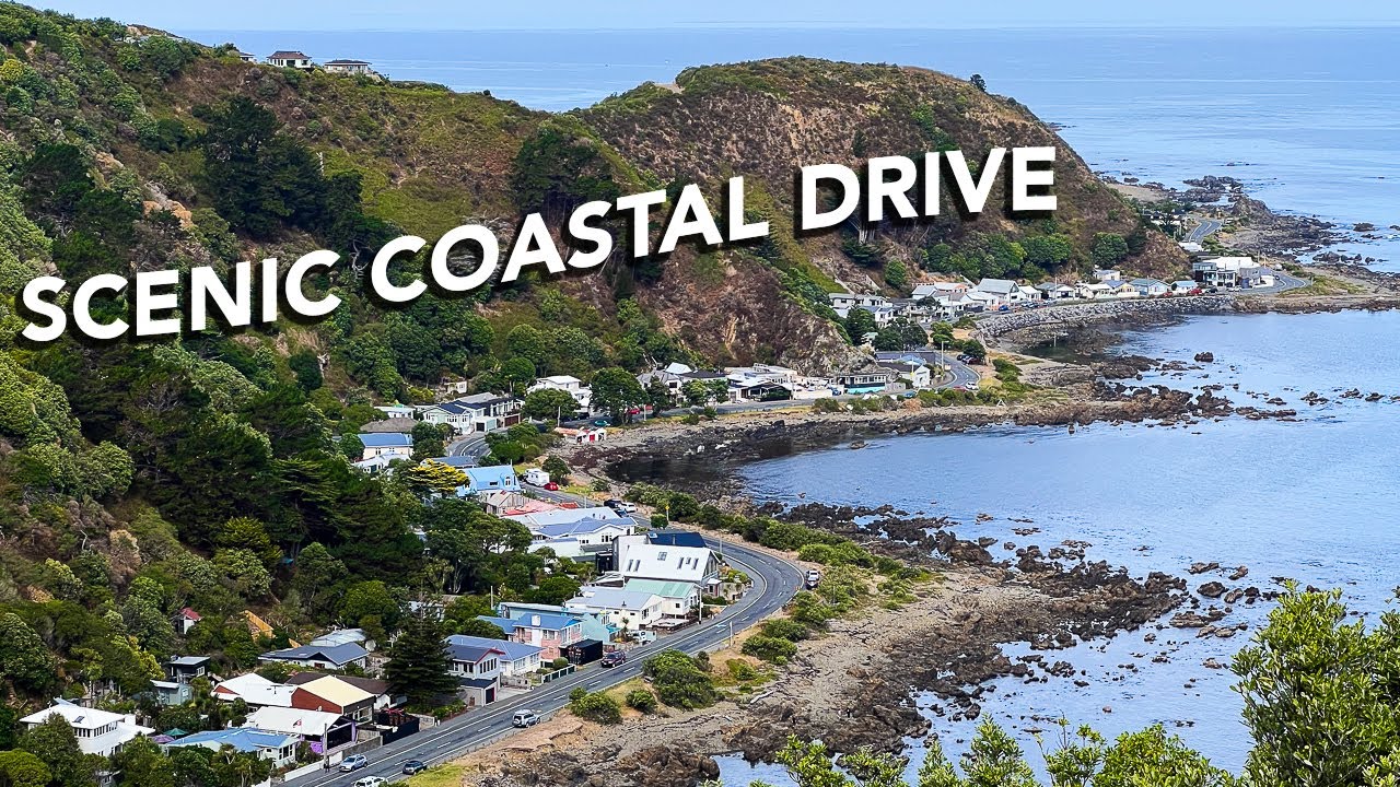 Epic Driving Tour of Wellington's Stunning Bays | New Zealand 2024