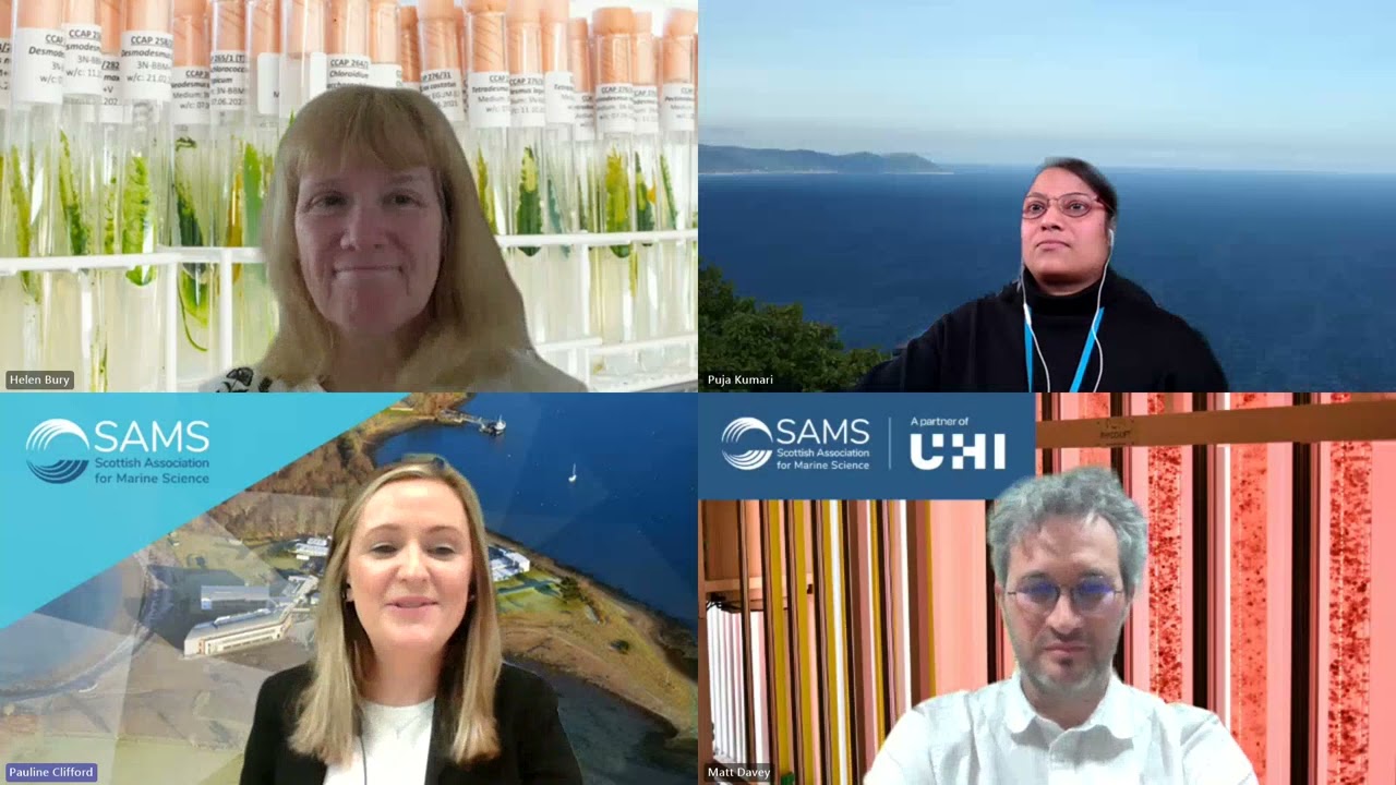Why Study Algal Biotechnology? (March 2024 Online Seminar Recording)