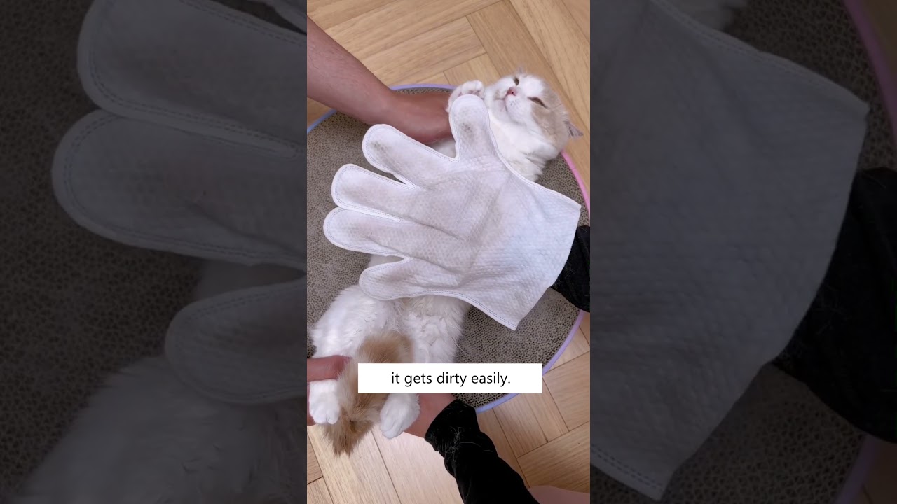 Уход за кошкой стал проще! 🐈💫