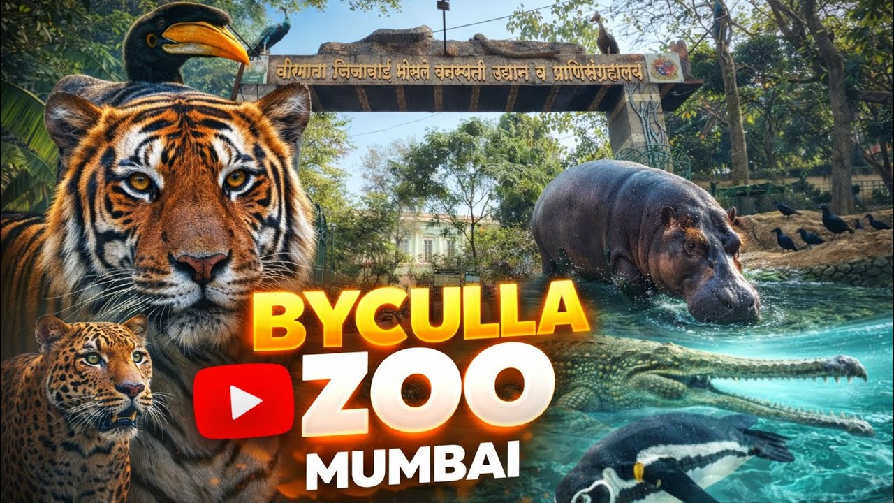 Mumbai’s Famous Byculla Zoo 🐧 | Penguins, Animals & Rani Baug Beauty 😍