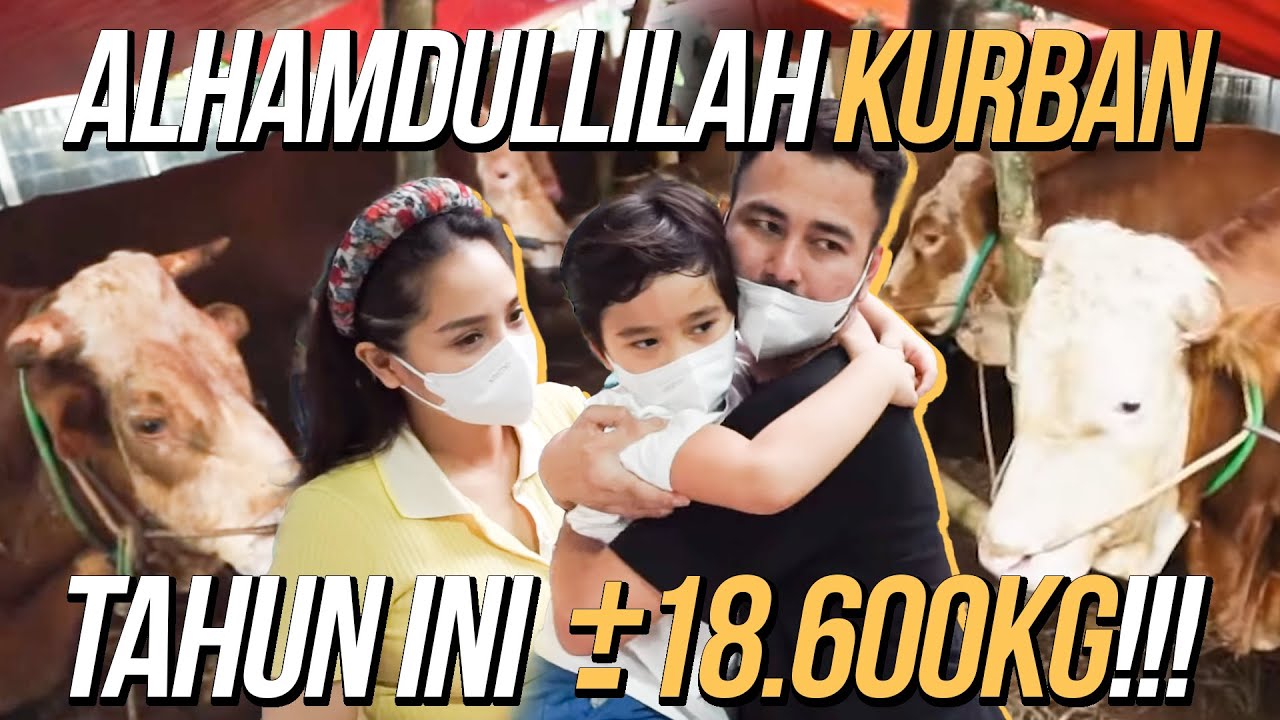 INTIP PENAMPAKAN SAPI AHMAD!! ADA SATU YANG BELUM DATENG!!!!