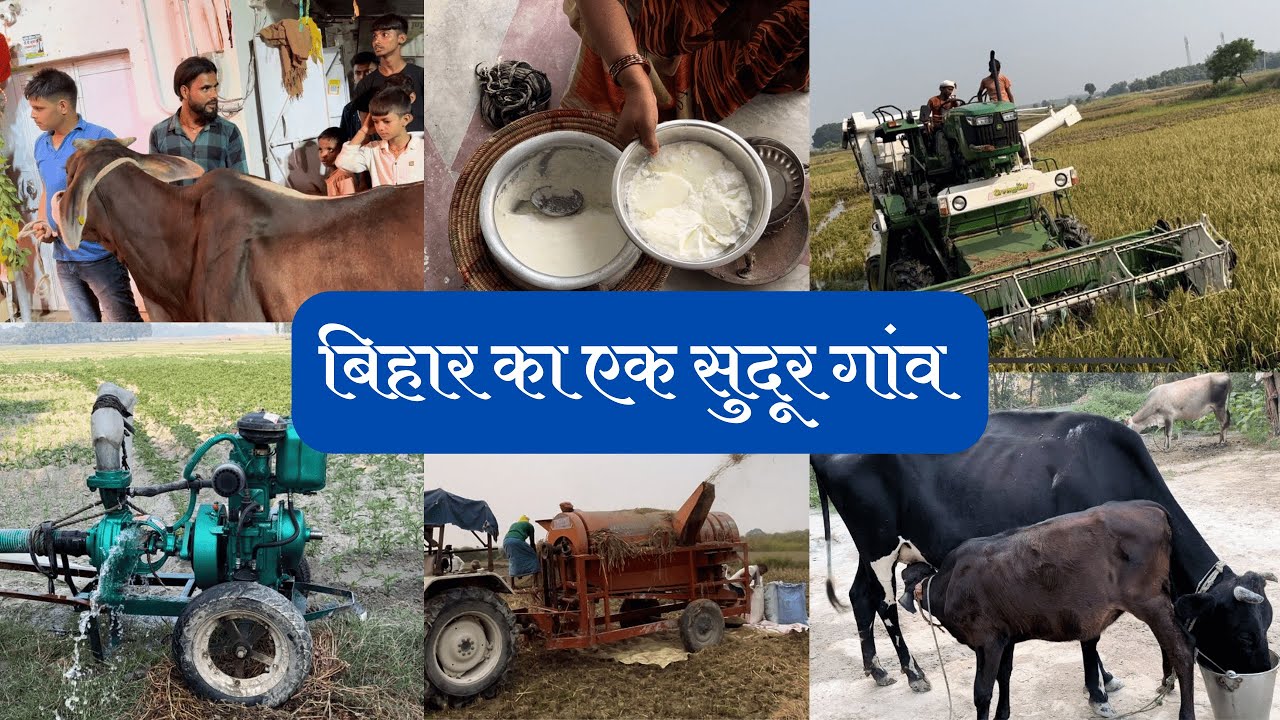 Bihar Village | Life in a Typical Village of Bihar | Village Life in Bihar | Bihar Village Life