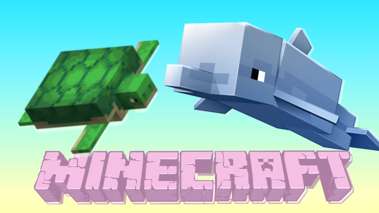 Not Overwatch Pt.1 - Discovering sea life 💛🐬🐢💜