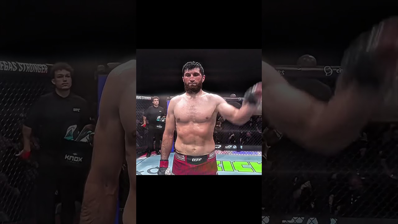 TOP MUSLIM FIGHTERS IN UFC #edit