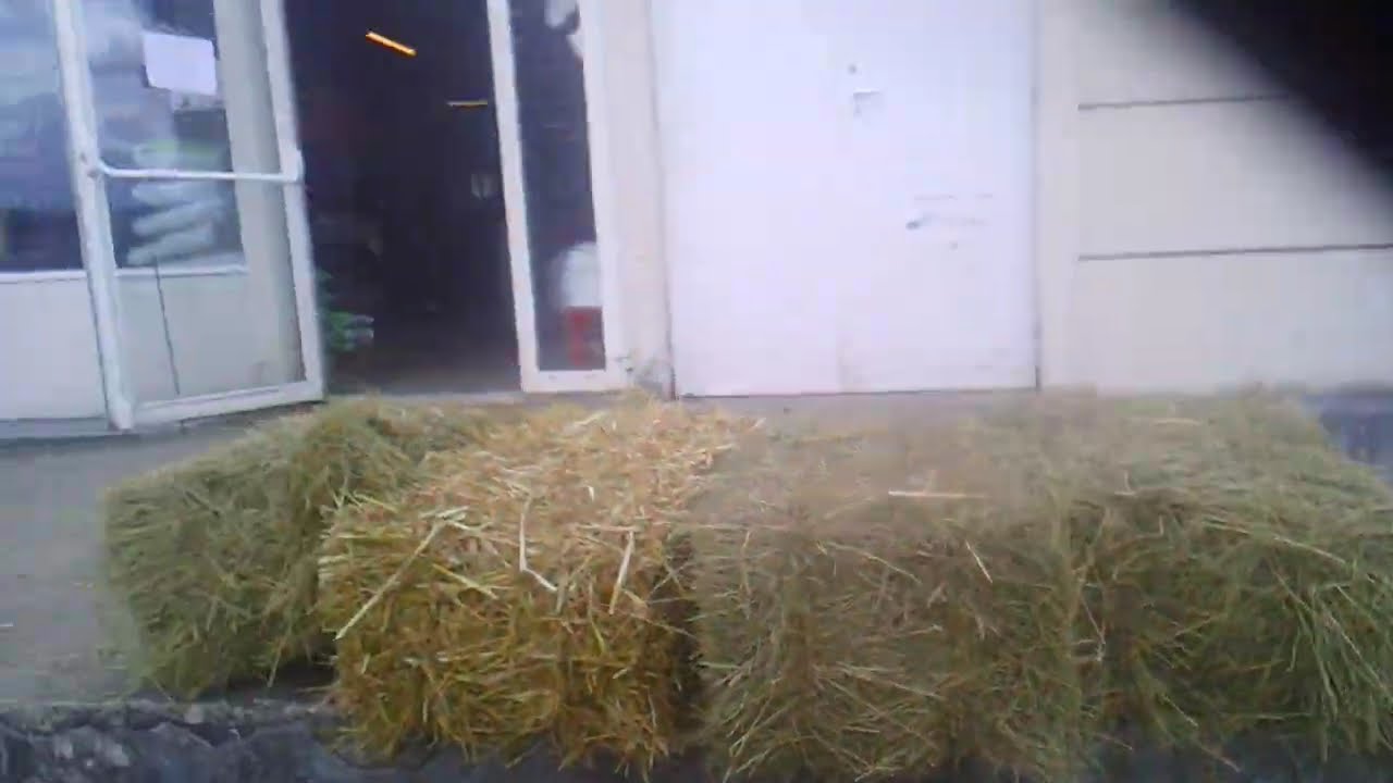 paille foin