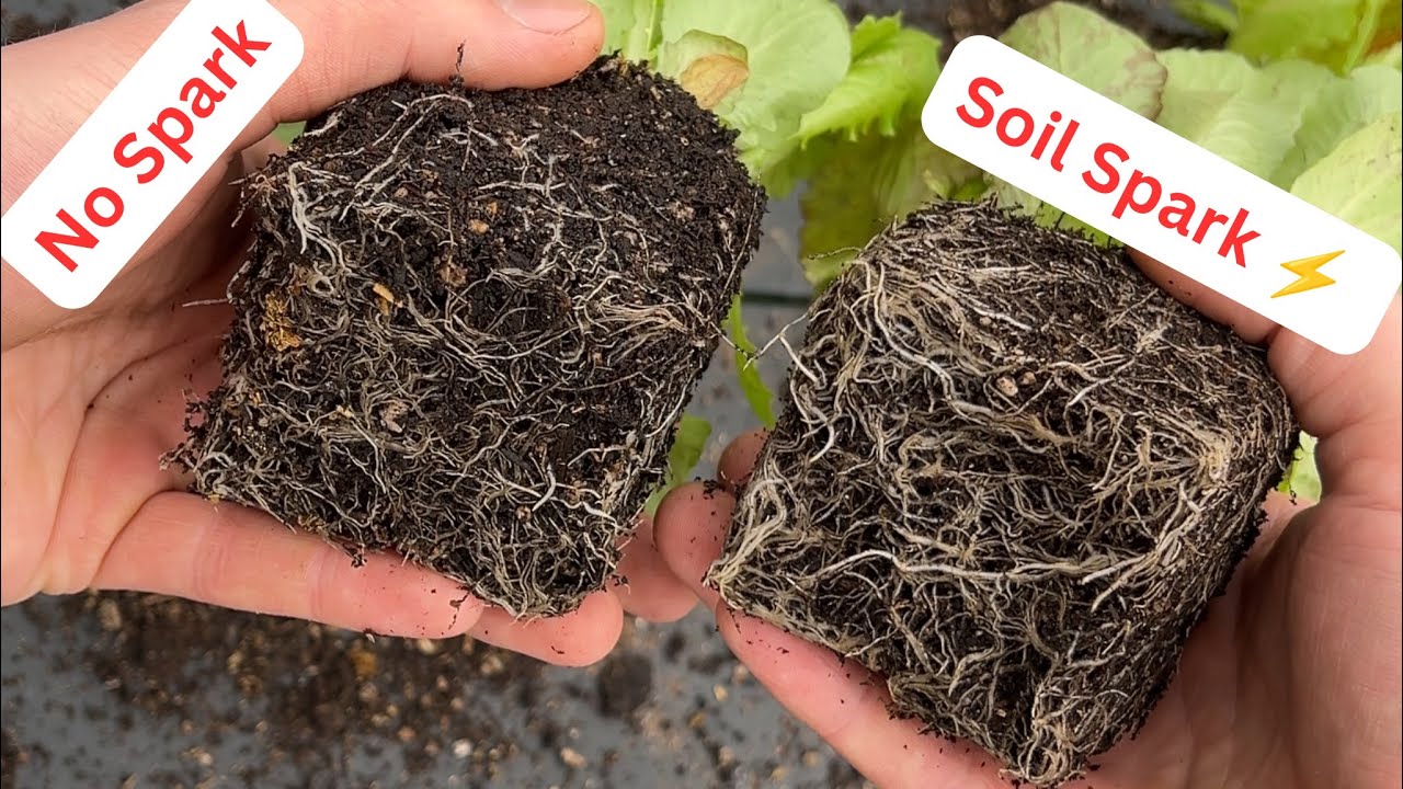 Soil Spark ⚡️side by side test pt. 1 (plant metabolism booster)