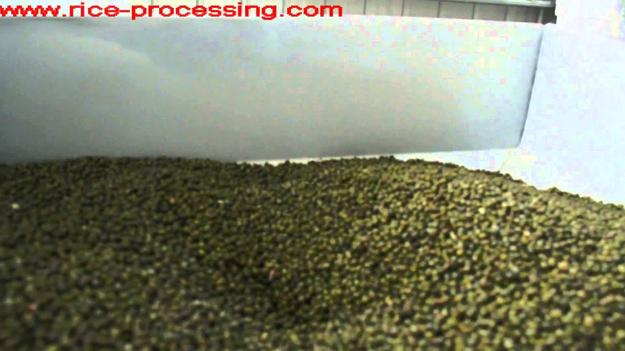 Green Beans Peeling Machine, Green Beans Peeler