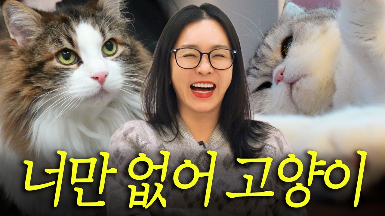 보면 🐶부러운 하루종일 고양이들한테 둘러싸여 사는 배우 김정난 (갖고싶다고양이)