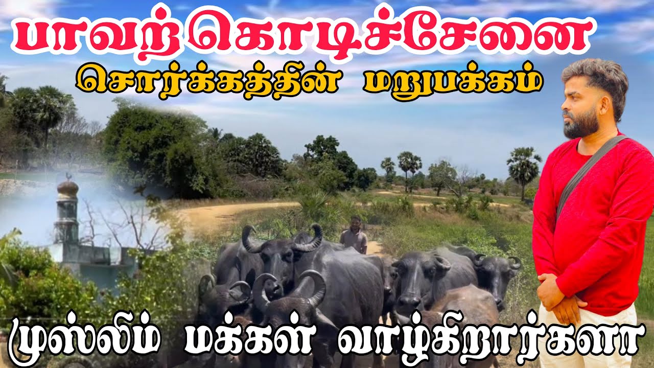 மட்டக்களப்பு பாவற்கொடிச்சேனை சொர்க்கத்தின் மறுபக்கம் | Pk vlogs Tamil | batticaloa #pkvlogstamil