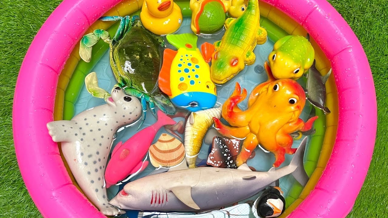 Sea Life Learning Time | Learn Sea Life Names & Simple Facts & Toy Play