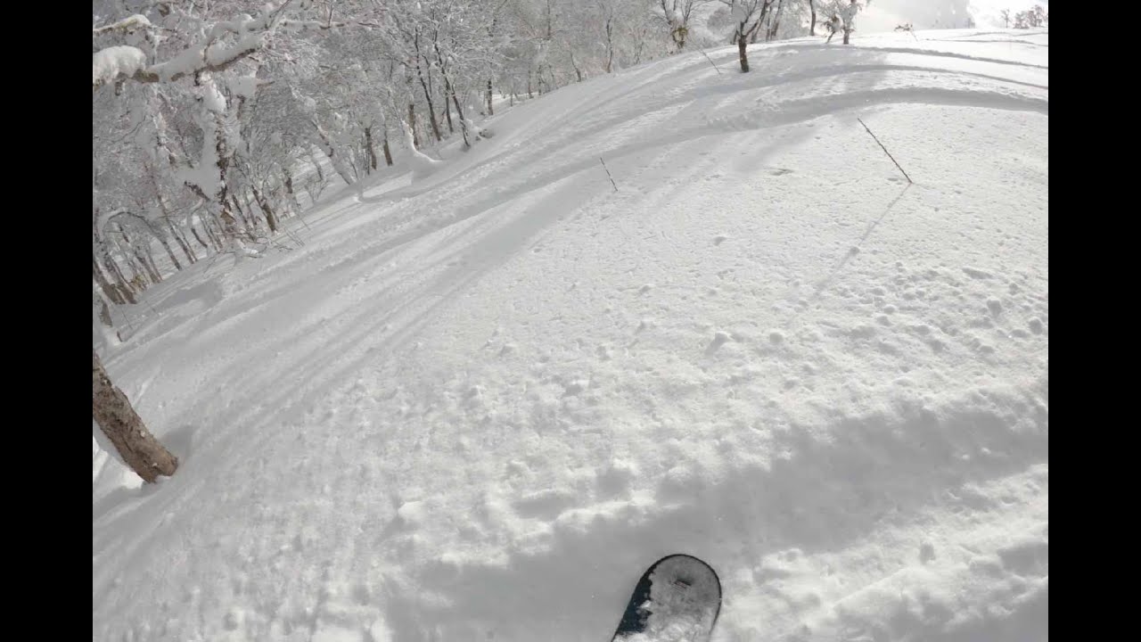 Tree Runs! - Rusutsu Snowboarding
