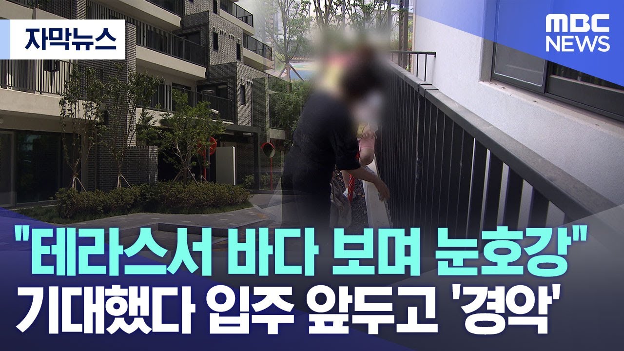 [자막뉴스] 