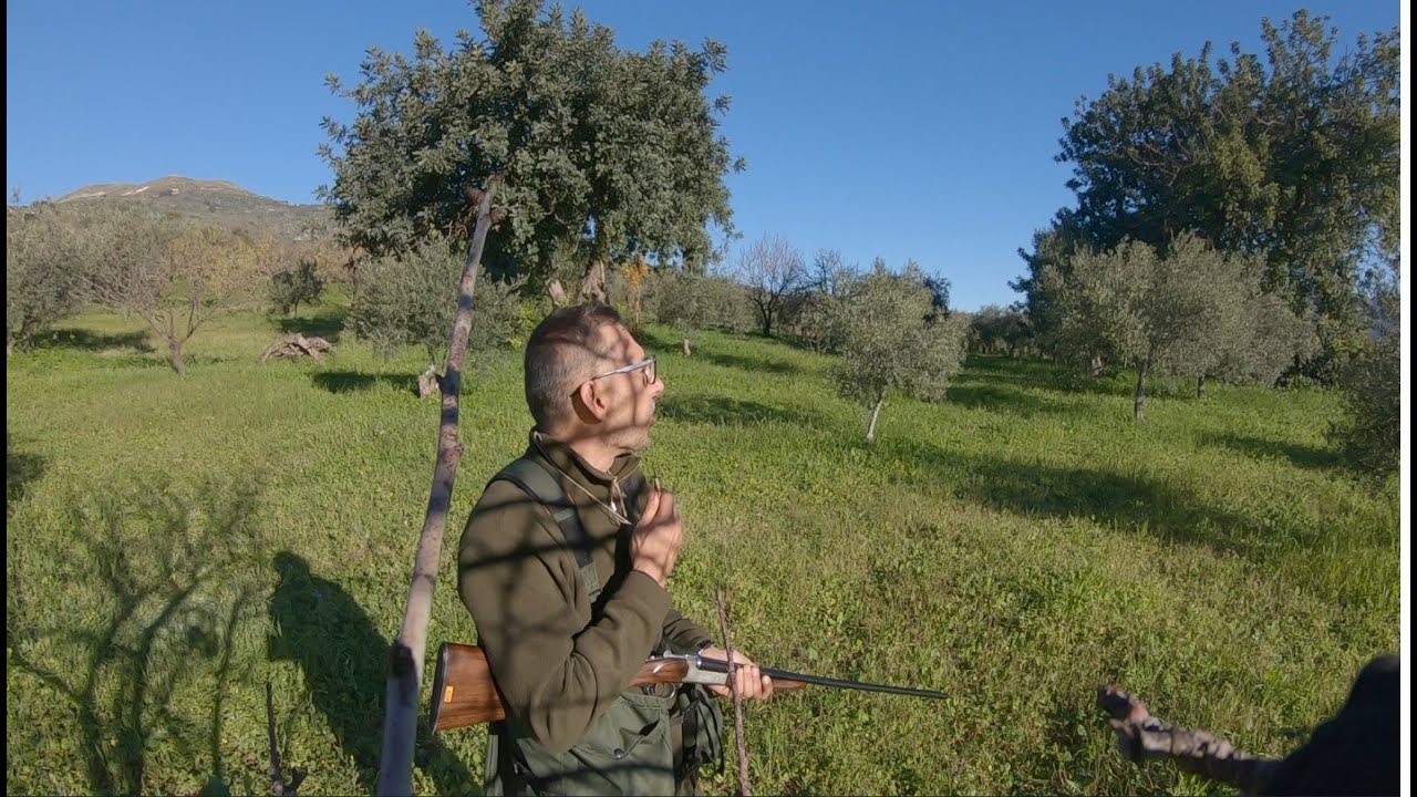 🇮🇹CACCIA: A TORDI IN QUATTROCENTODIECI-TRHUSH HUNTING 410 GAUGE-CAZA DE ZORZALES