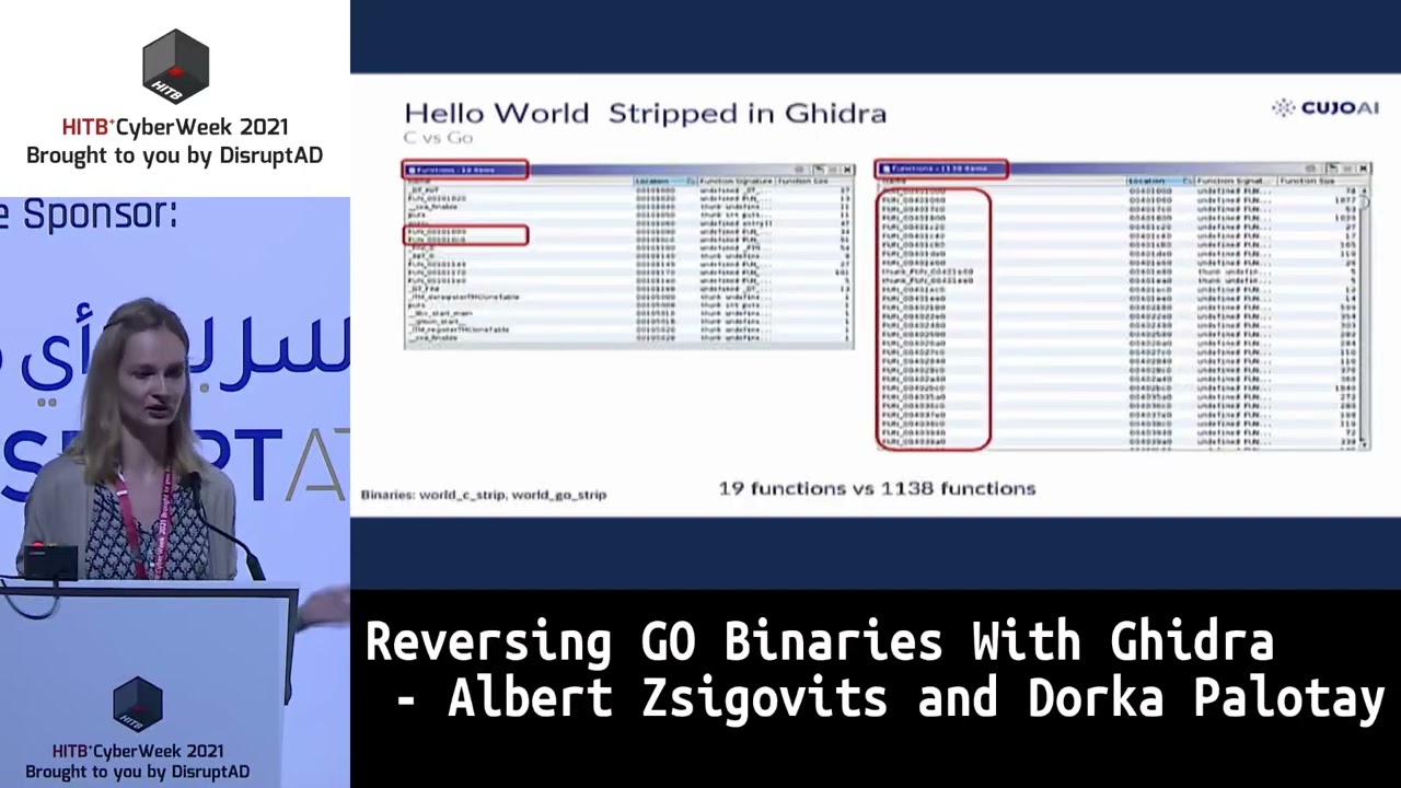 Reversing GO Binaries With Ghidra   Albert Zsigovits and Dorka Palotay