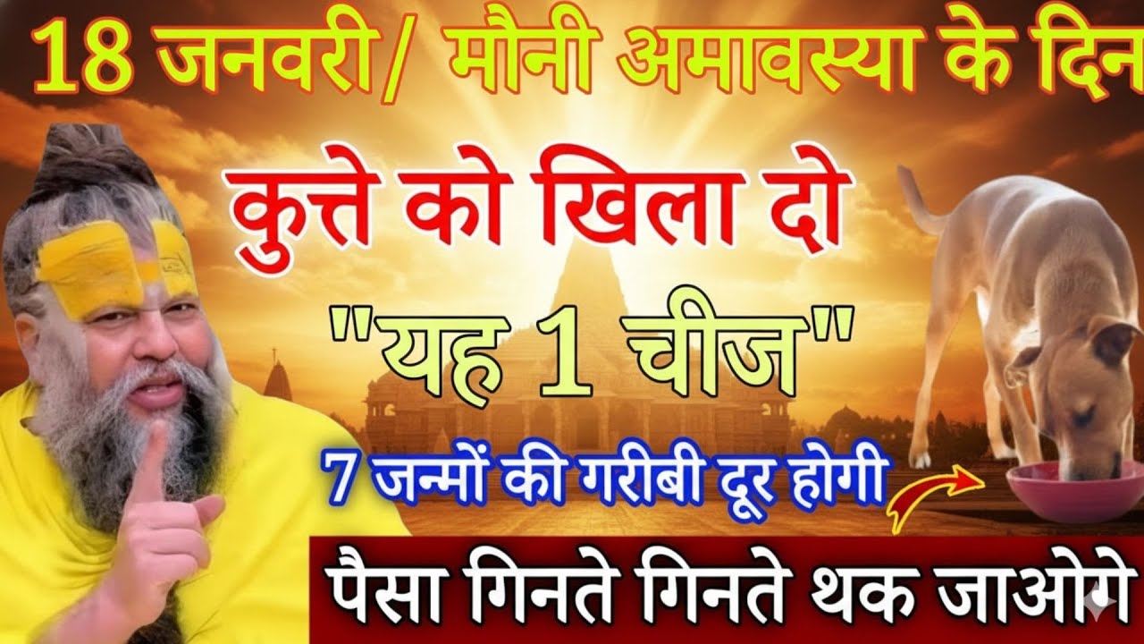 मौनी अमावस्या पर कुत्ते को खिलाई यह 1 चीज, भाग्य ऐसे खुलेगा कि पैसा रुकेगा नहीं | premanand maharaj