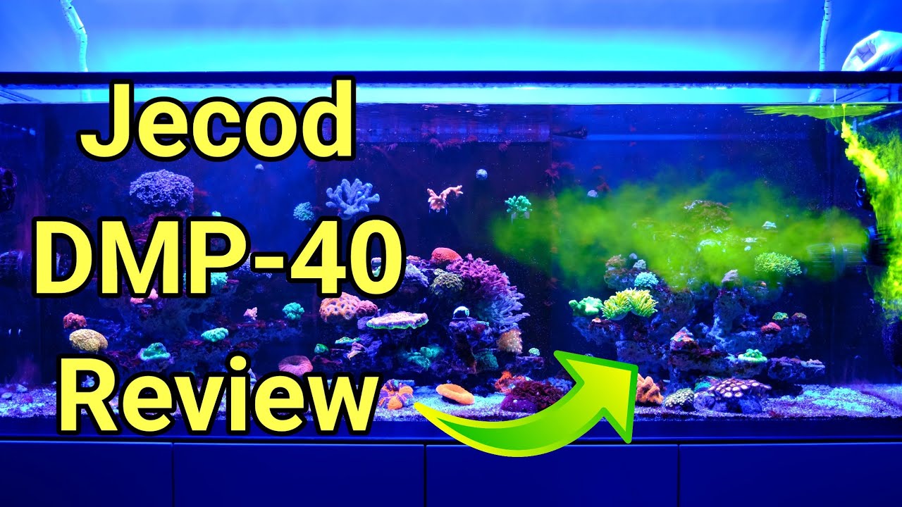 A Complete Review of the Excellent Jecod DMP-40 (Ecotech MP-40 Clone)