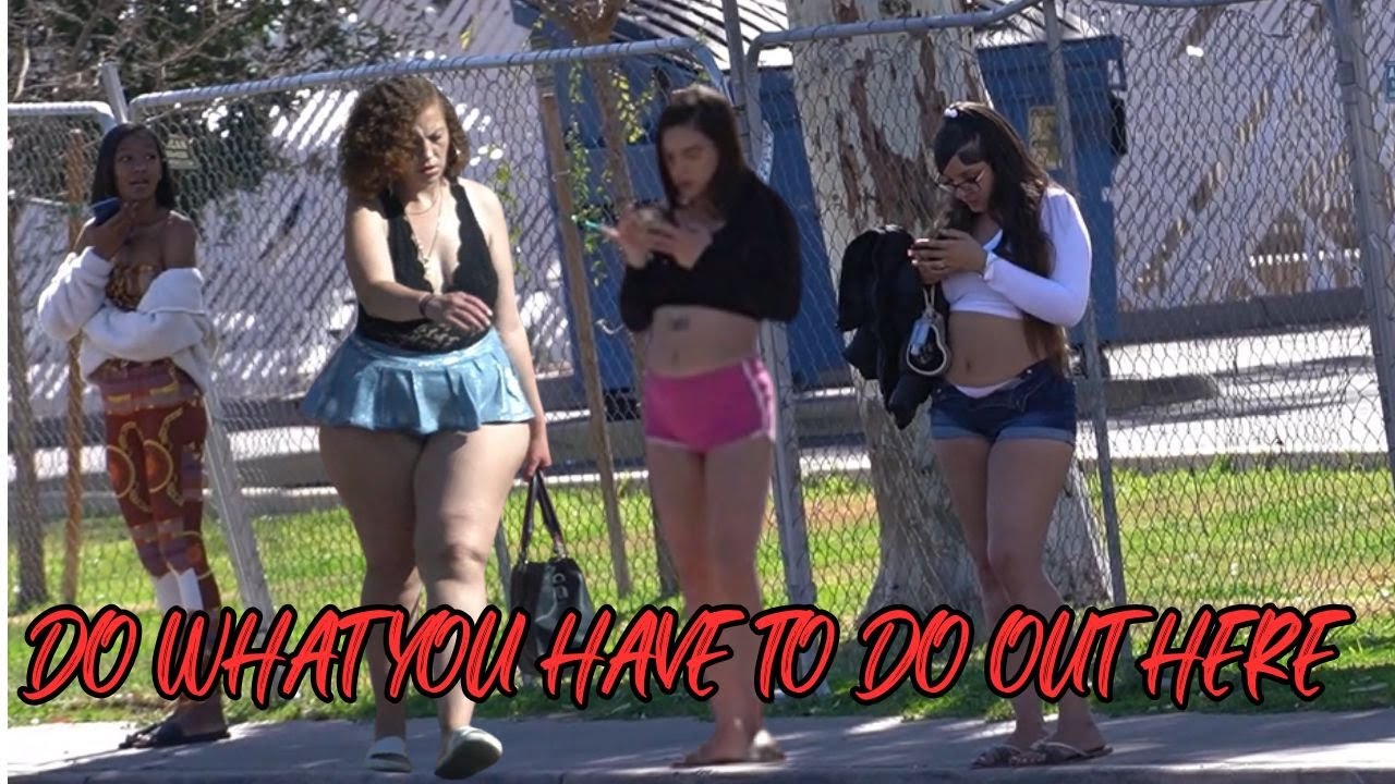 homeless hynas of phoenix19