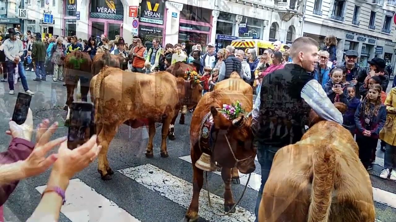 Haute Savoie #Annecy le retour des #alpages{ 2022 (défilé filmé en intégralité)