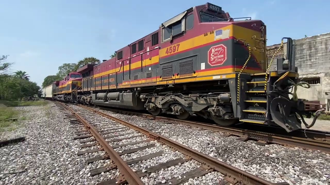 Miselaneo en el puerto 