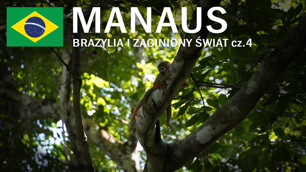 W stolicy Amazonii 🇧🇷