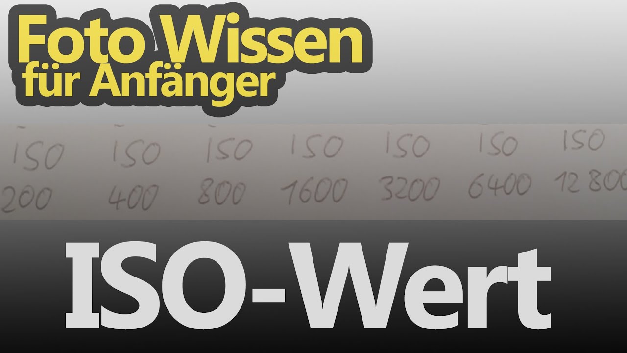 Der ISO-Wert beim Fotografieren - einfach erklärt