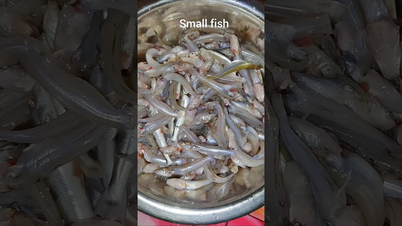 Small fish curry | सोटी मछली | Essay and quality cook small fish recipe #fish #smallfishcurry #fyp