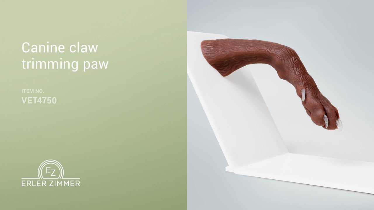 🐾✂️ Canine claw trimming paw