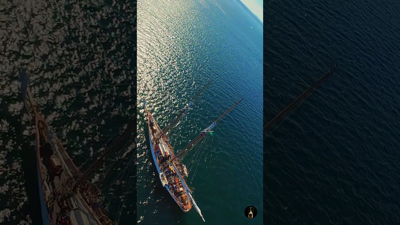 Evening Sail in Puget Sound 🌅 | Classic Wooden Yacht 4K Drone Short
