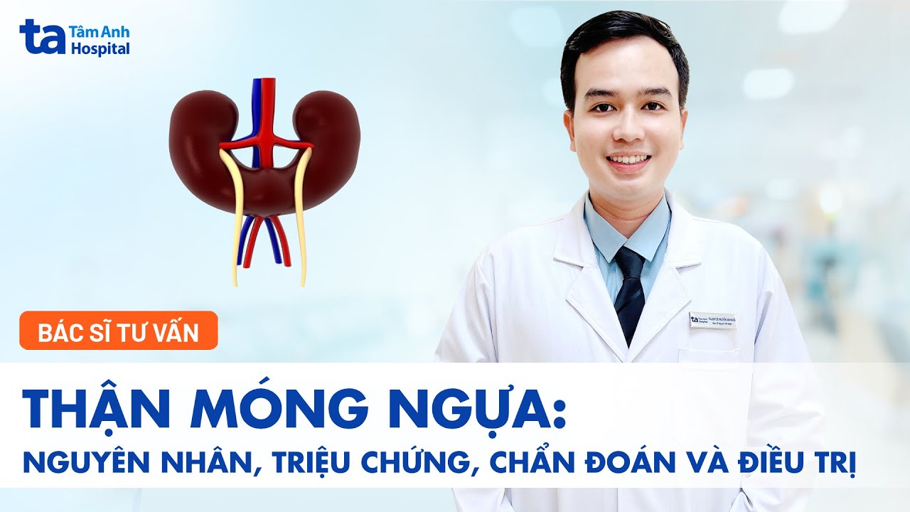 Thận móng ngựa: Nguyên nhân, triệu chứng, chẩn đoán, điều trị | TNNH Tâm Anh