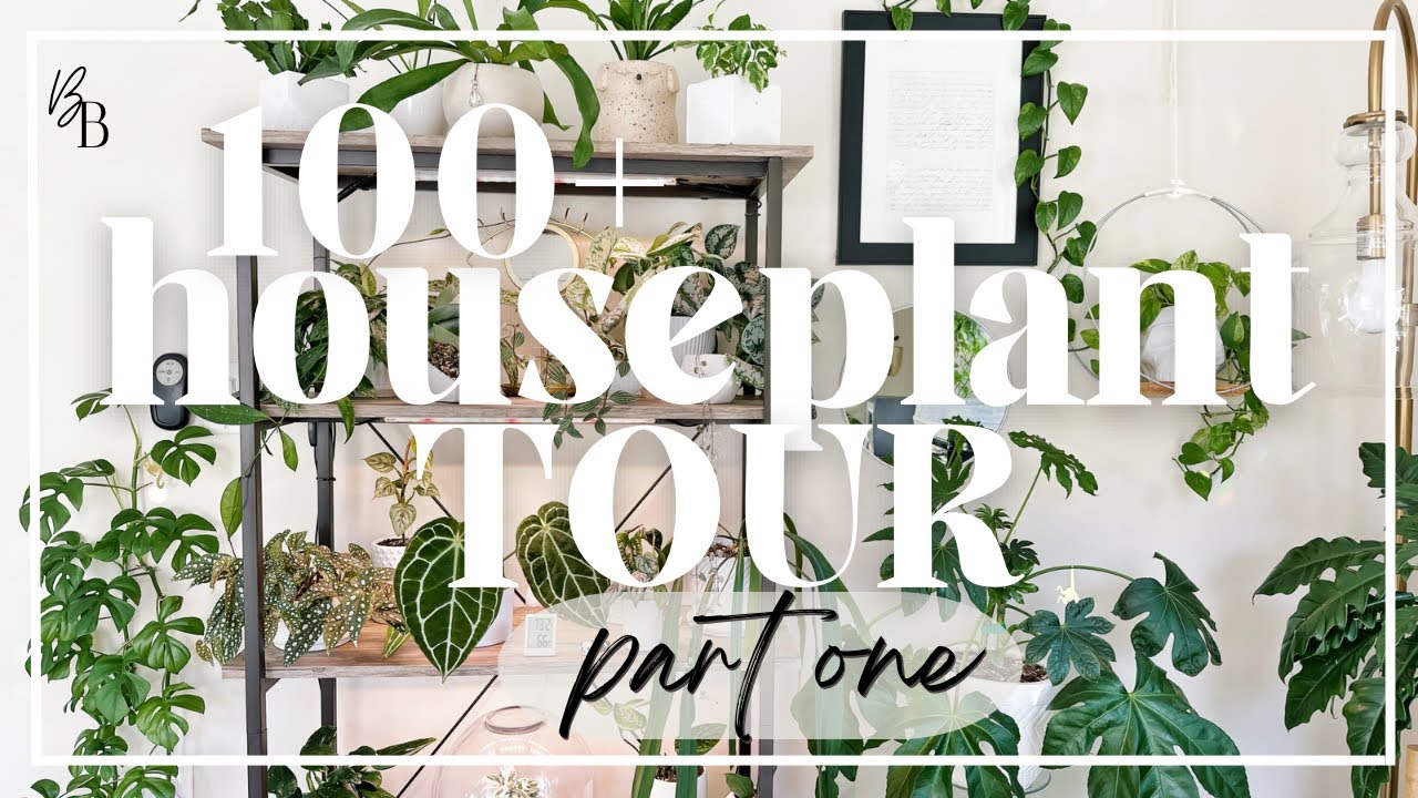 I Have OVER 100 Plants In My House | 2023 Houseplant TOUR | Plant Room + Shelfie | Plant Tour Part 1