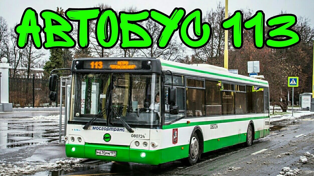 Автобус 113