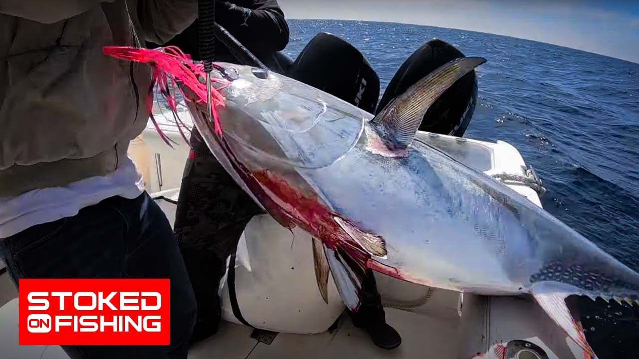 West Coast Bluefin - Spreader Bar and Kite Fishing with Stoked On Fishing Charters