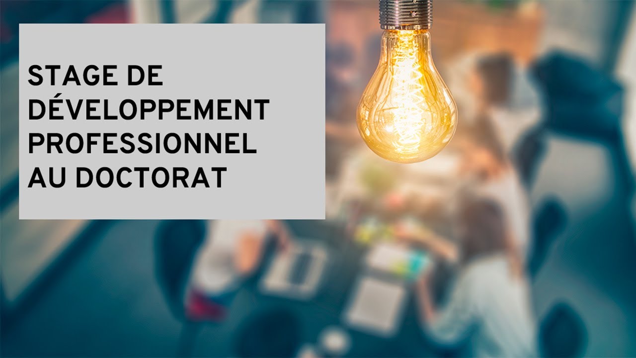 Séance d'information sur le stage de développement professionnel au doctorat - 17 septembre 2024