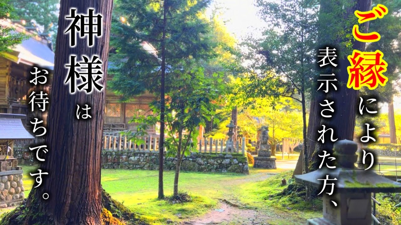 【粟鹿神社/但馬国一宮(ニ宮)】パワースポットでスピリチュアル！「別格の神威」(駐車場/Vlog/参拝)