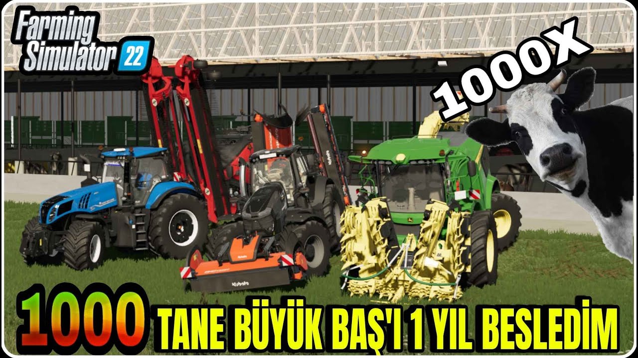 1000 TANE BÜYÜK BAŞ HAYVANA 1 YIL BOYUNCA YEM VERDİM...