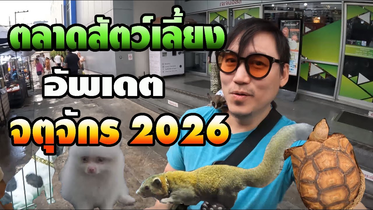 ตลาดสัตว์เลี้ยงจตุจักร!! อัพเดต2026