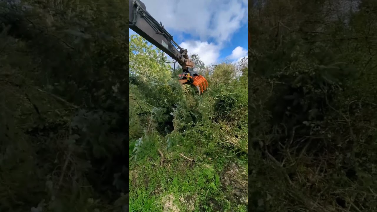 Scorpion X Grapple Saw | MDE Machinery #excavator #digger #jcb #construction #stihl #heavyequipment