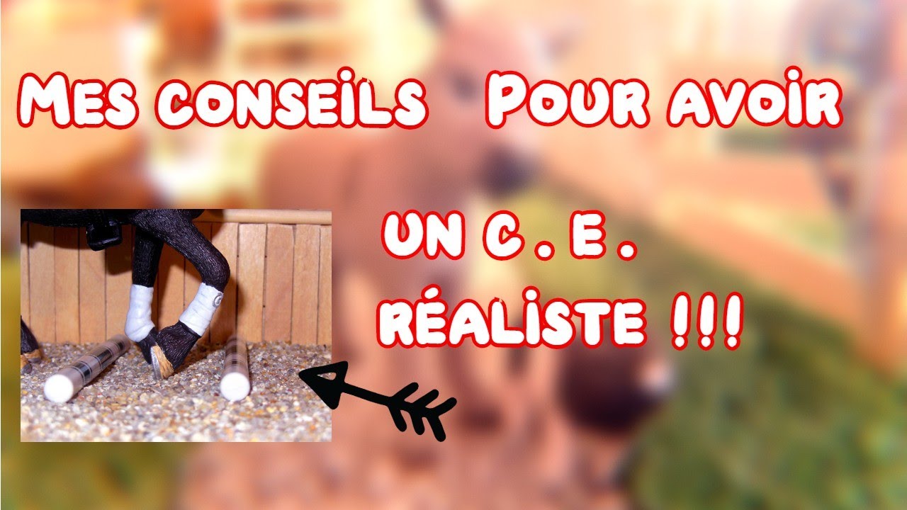 COMMENT AVOIR UN C.E. RÉALISTE !