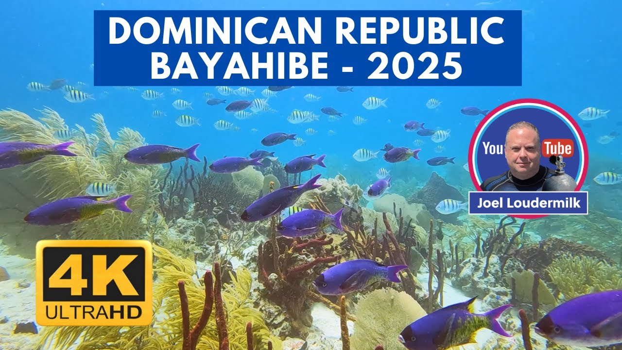 Diving the Dominican Republic - Bayahibe