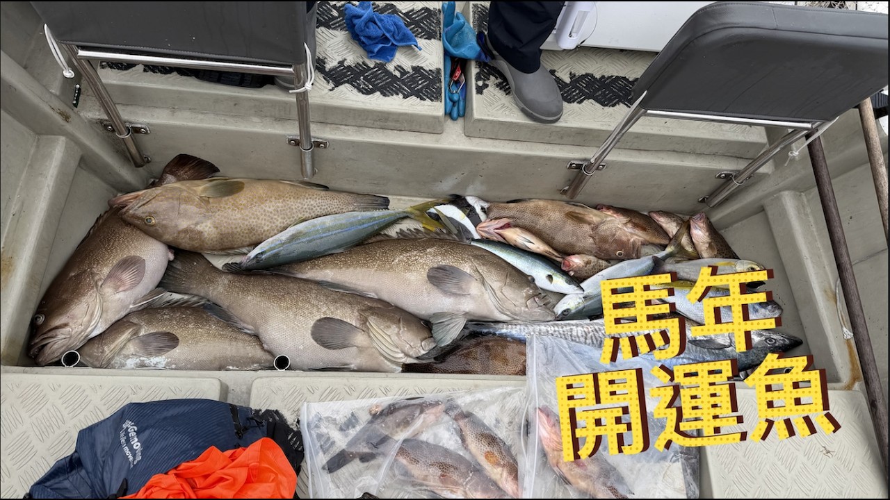平民淘寶竿大戰深水石斑 | 馬年開運第一釣 | Grouper Battle to Kick off The Year of the Horse #爆釣 #釣魚 #石斑魚 #fishinglife